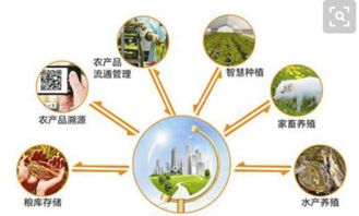 智慧農(nóng)業(yè)的網(wǎng)絡(luò)技術(shù)研發(fā) 借鑒國外經(jīng)驗(yàn)，探索中國特色發(fā)展道路